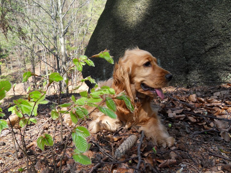 (18q) Anny-24.5.2010.JPG